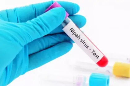 Nipah Virus in Thailand? What’s Confirmed, What’s Not, and How to Stay Safe