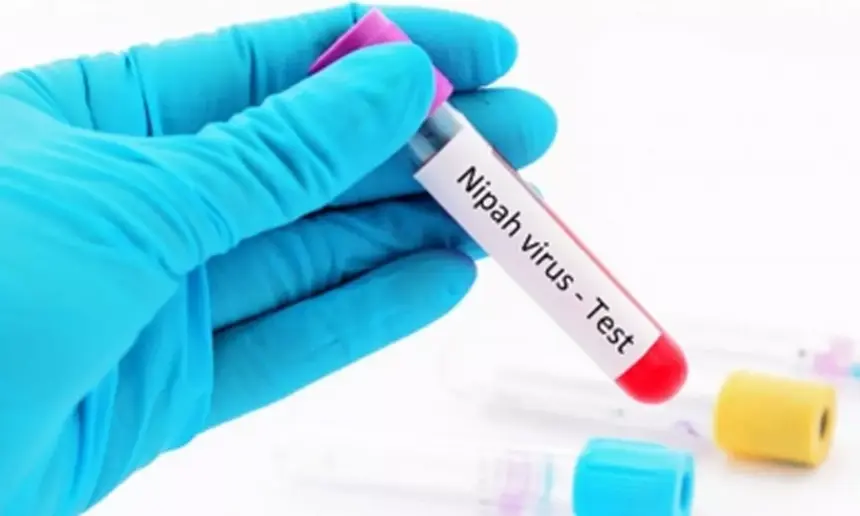 Nipah Virus in Thailand? What’s Confirmed, What’s Not, and How to Stay Safe