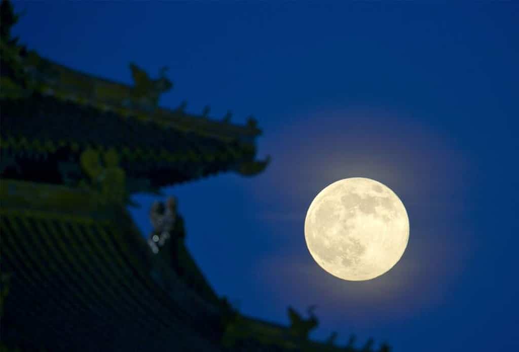 Wolf super moon chiang rai