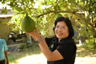 Chiang Rai's Wiang Kaen Pomelo” Gets New GI Status