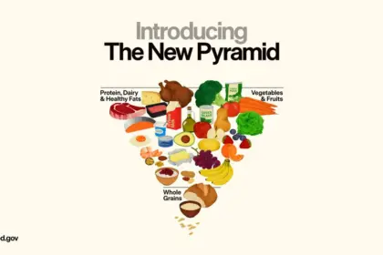 new food pyramid