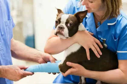 Quality Emergency Vet