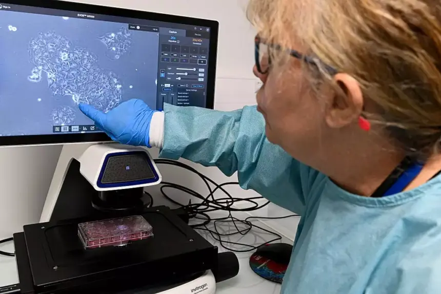 Pancreatic Cancer Cure