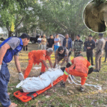 Wild Elephant Stomps Camper to Death