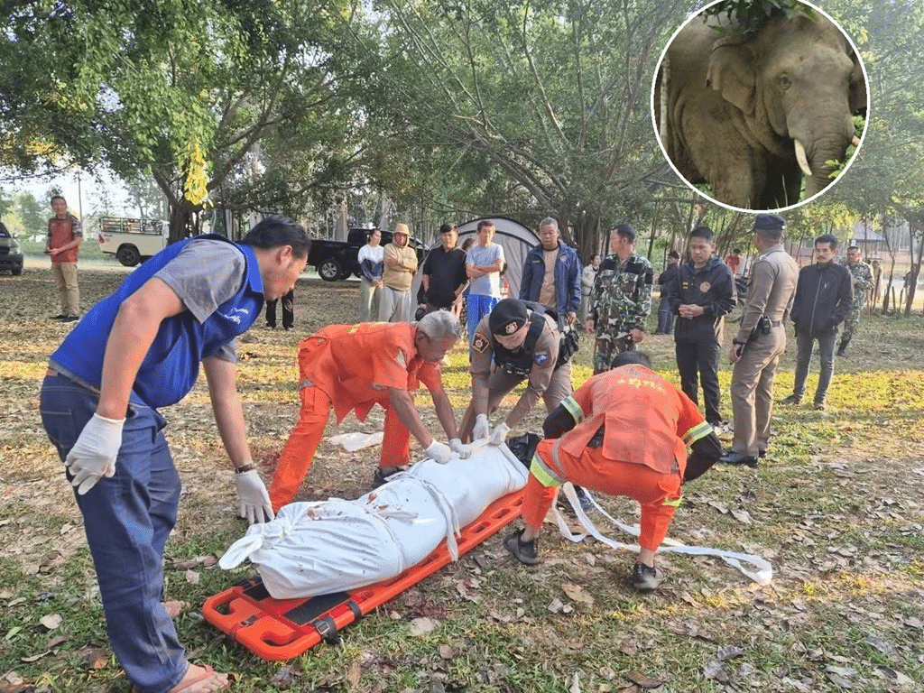 Wild Elephant Stomps Camper to Death