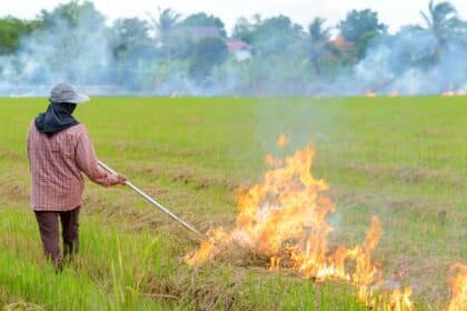 Burning Ban Chiang Rai