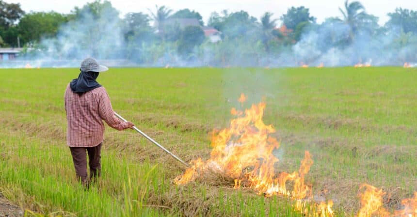 Burning Ban Chiang Rai