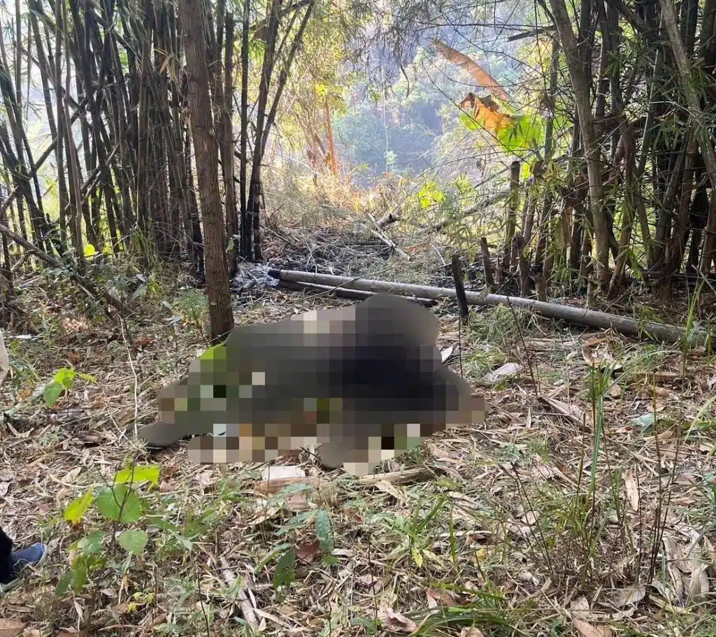 Chiang Rai Police Investigate Double Homicide