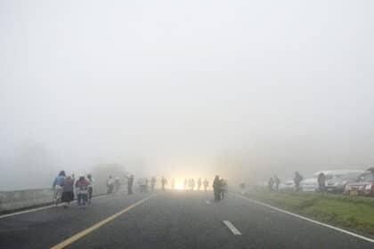 Thailand Weather Feb 1–4: Bangkok Fog and 1–2m Waves in the Lower Gulf