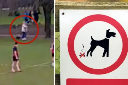 Rugby Match Stopped by Dog Waste in Cardiff, What It Means for Parks and Kids’ Sports
