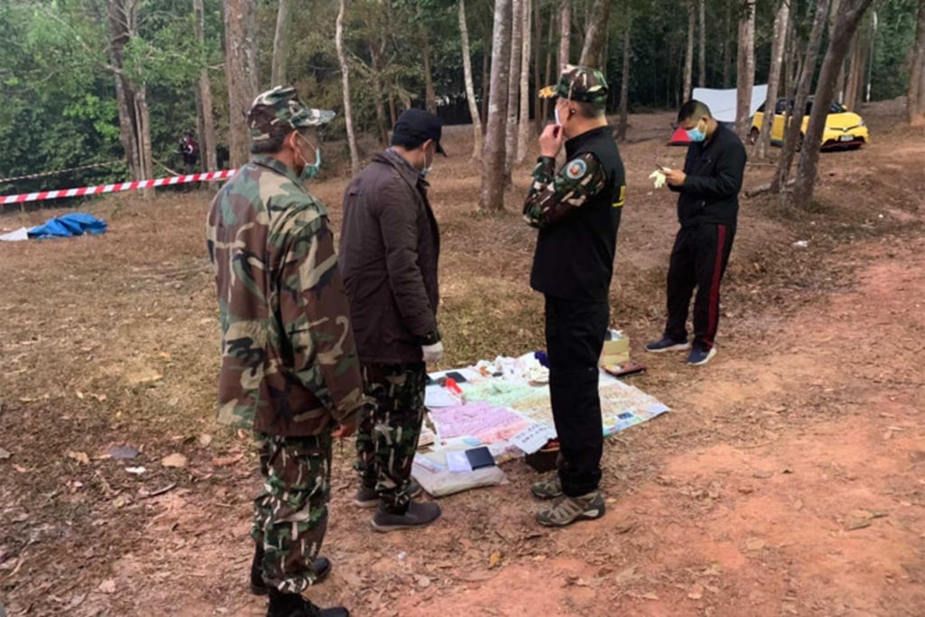 Wild Elephant  Stomps Camper to Death