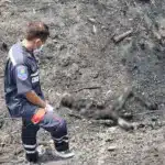 Firefighters Shocked to Find Burned Body After Dousing Grass Fire