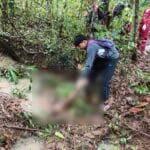 Wild Elephant Savagely Attacks and Kills Man Picking Wild Mushrooms