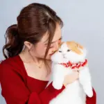Chiang Rai Woman Offers Bt100,000 Reward for Missing Scottish Fold Cat  