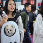 Millennials in China Choosing Pets Over Parenthood