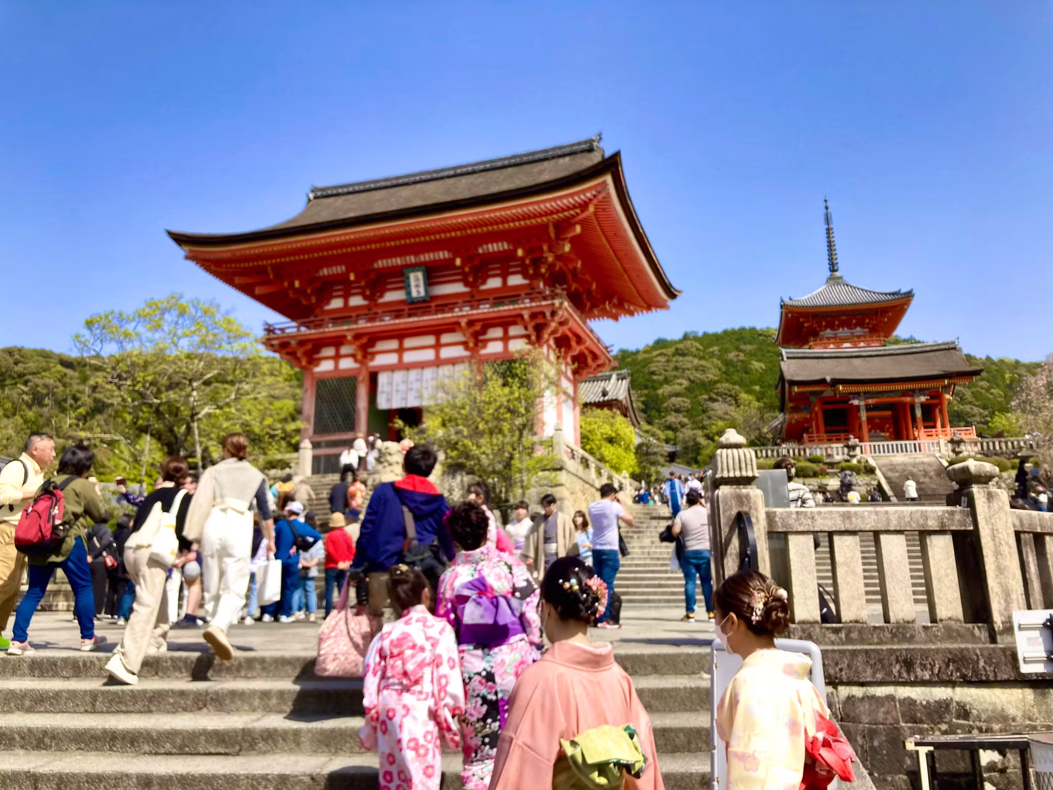 Best Time to Visit Japan
