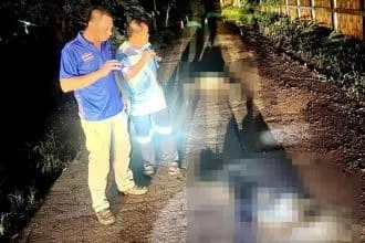Chiang Rai Man Murders and Dismembers Wife