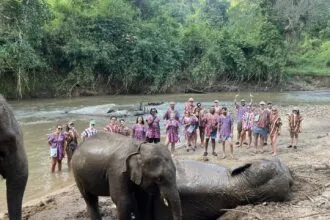 Tourism in Chiang Rai
