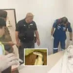 Man Playing With Cobra Found Dead in his Hotel Room