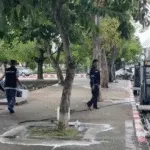 Chiang Mai Rat and Garbage Issue Resolved