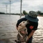 Soi Dog Foundation Rescues Flood-Affected Animals in Hat Yai