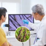 Riceberry could help restore hair