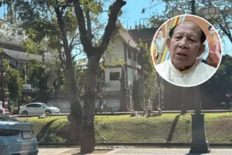 Tourist Sunbathing in Bikinis By Chiang Mai Temple
